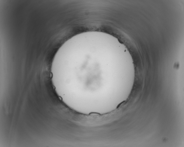 X0000116820037201001081426