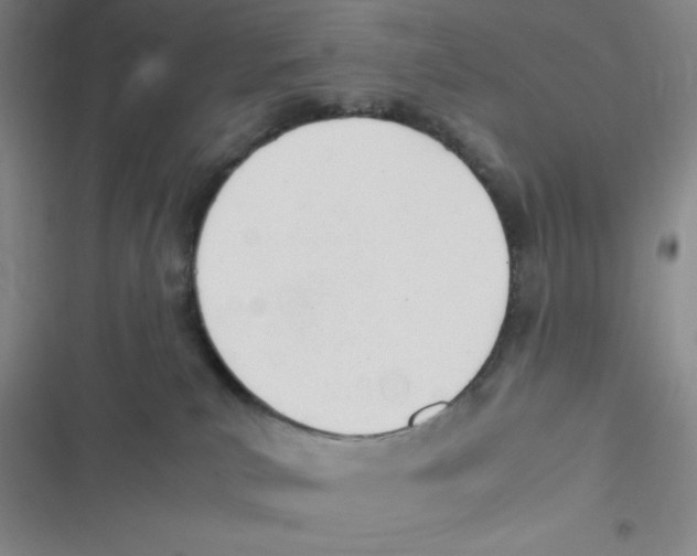 X0000116820039201001081426