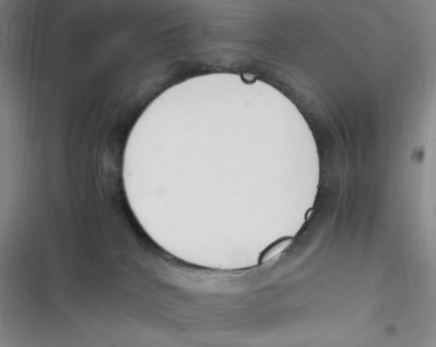 X0000116820040201001081426