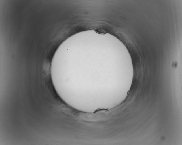 X0000116820041201001081426