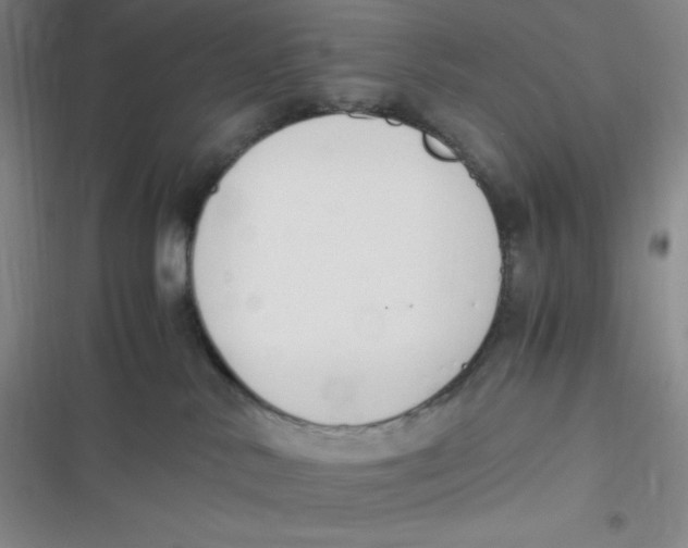 X0000116820042201001081426