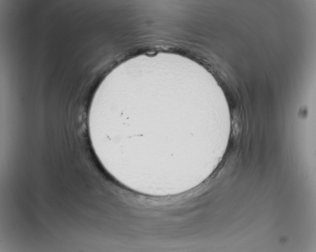 X0000116820043201001081426