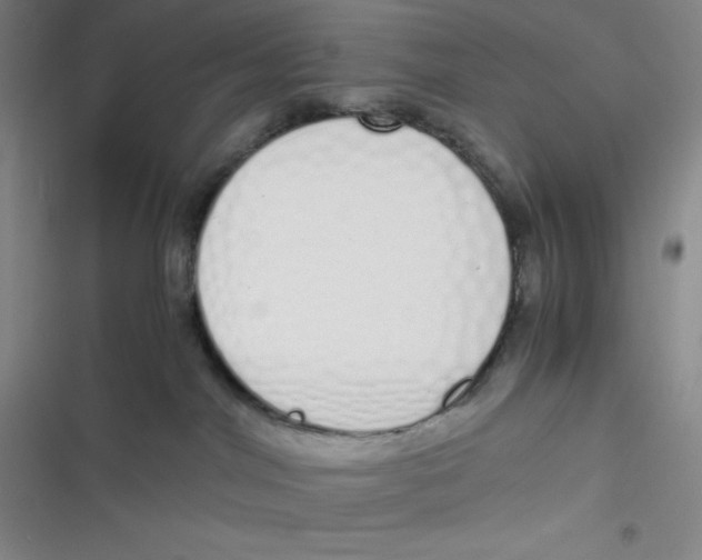 X0000116820044201001081426