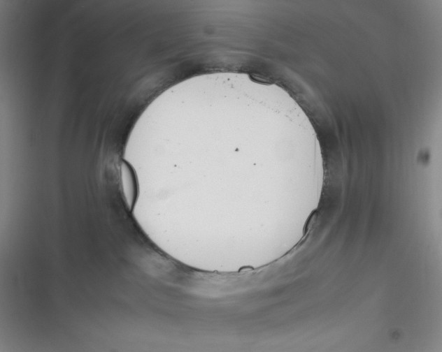 X0000116820045201001081426