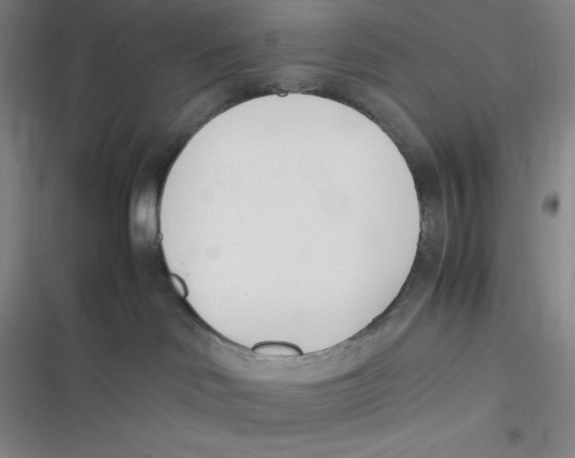 X0000116820046201001081426