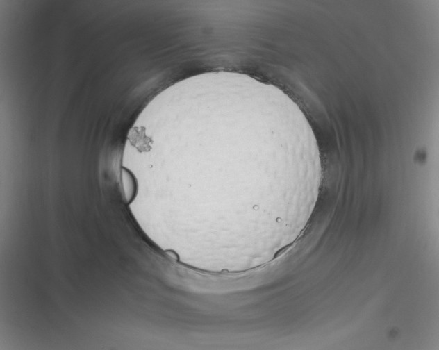 X0000116820047201001081426