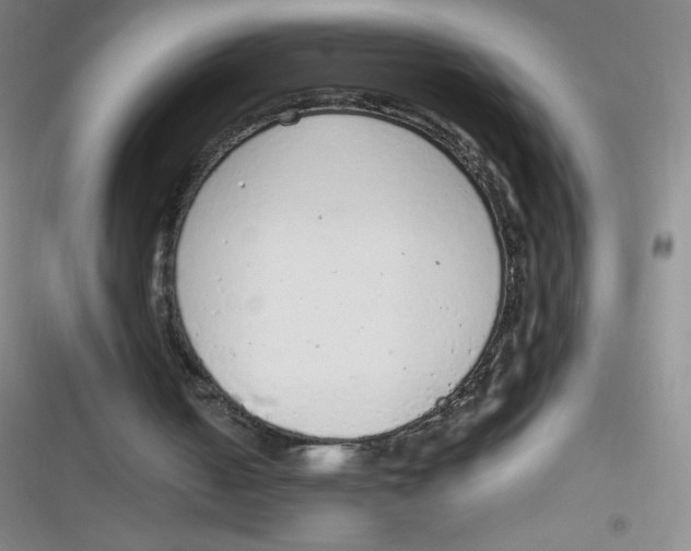 X0000116820050201001081425