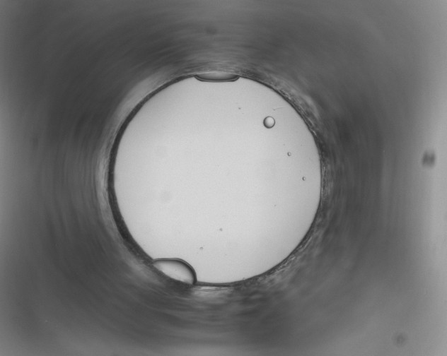 X0000116820051201001081425