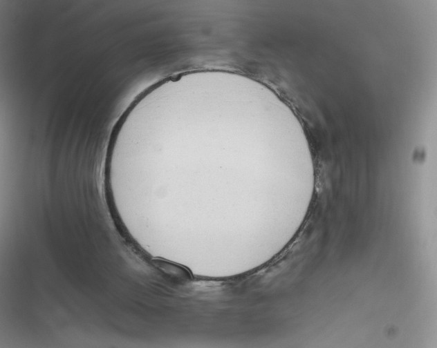 X0000116820052201001081425