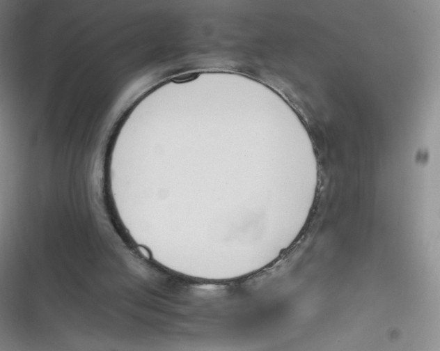 X0000116820053201001081425