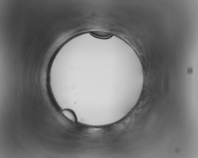 X0000116820055201001081425