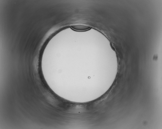 X0000116820056201001081425