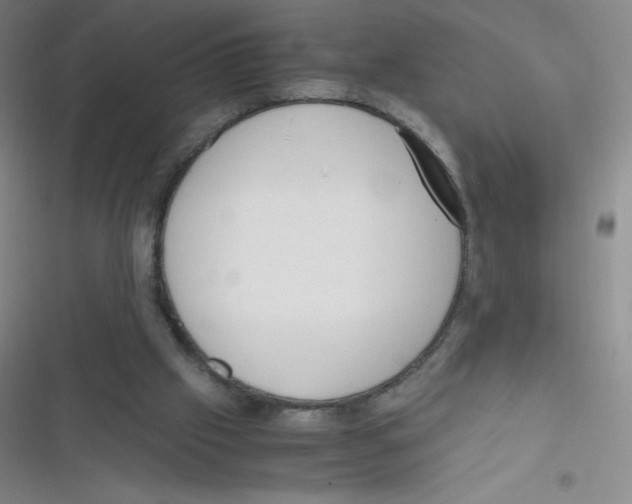 X0000116820057201001081425