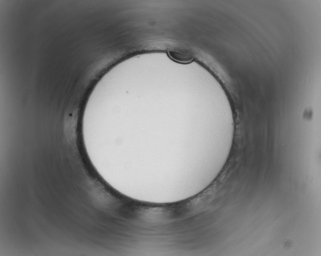 X0000116820058201001081425