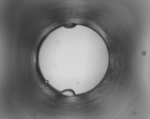 X0000116820059201001081425