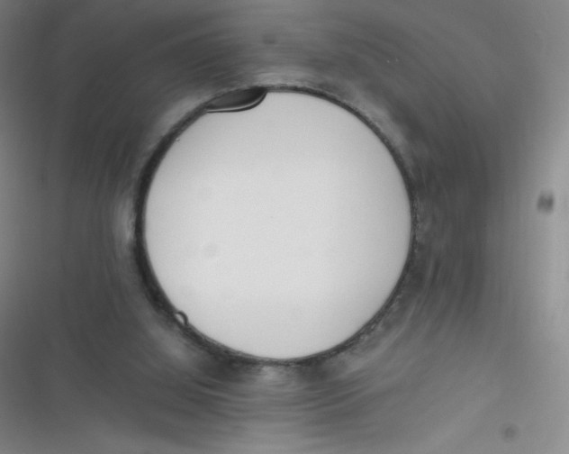 X0000116820060201001081425