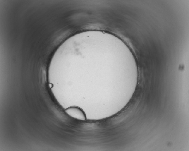 X0000116820061201001081425