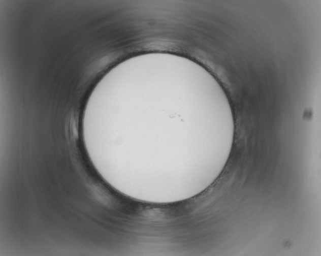 X0000116820062201001081425