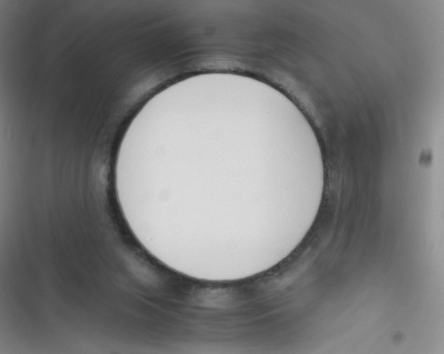 X0000116820063201001081425