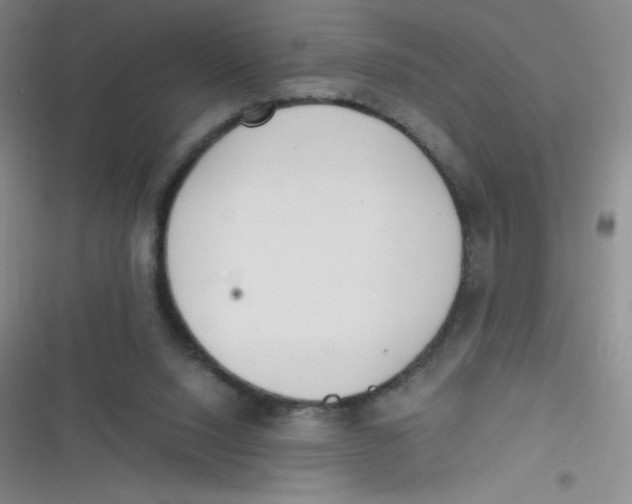 X0000116820064201001081425