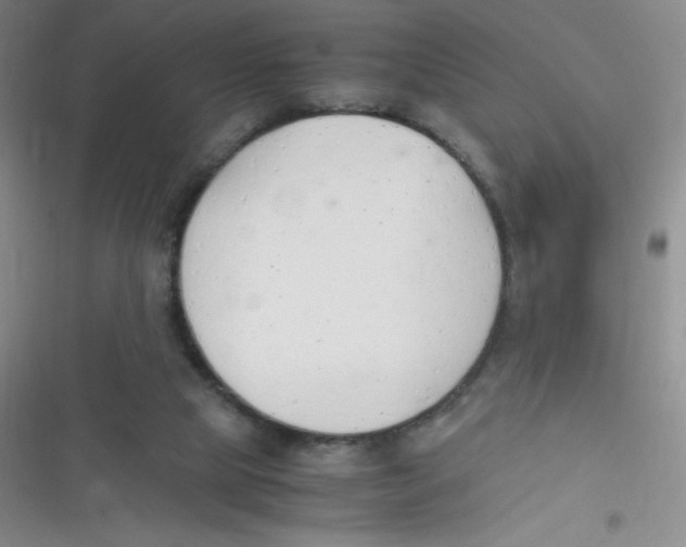 X0000116820065201001081425