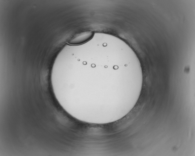 X0000116820066201001081425