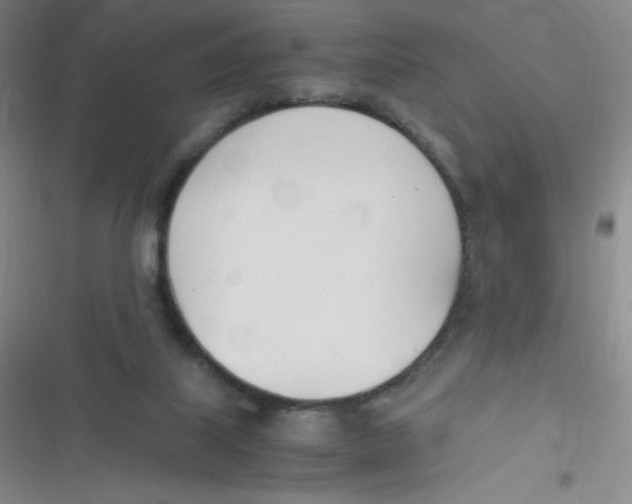 X0000116820067201001081425