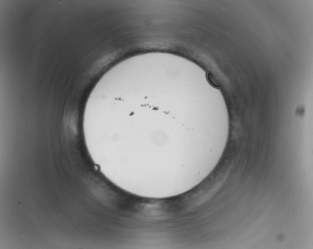 X0000116820068201001081425