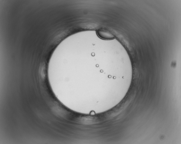 X0000116820069201001081425