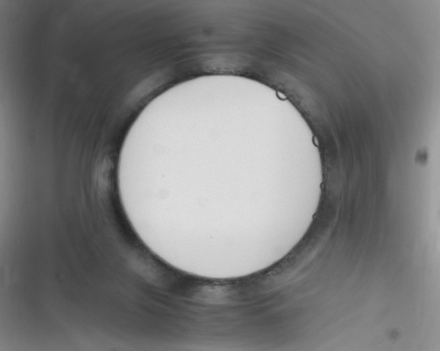 X0000116820071201001081425