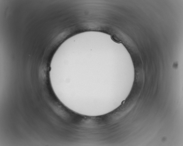 X0000116820072201001081425