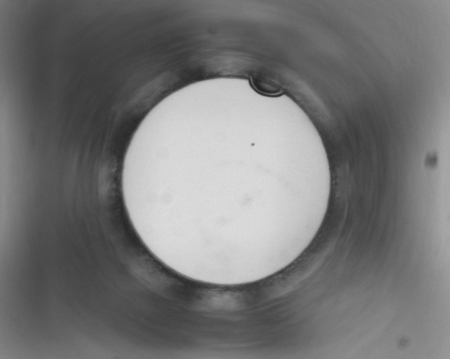 X0000116820073201001081425