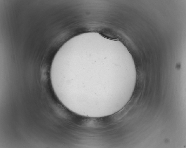 X0000116820074201001081425