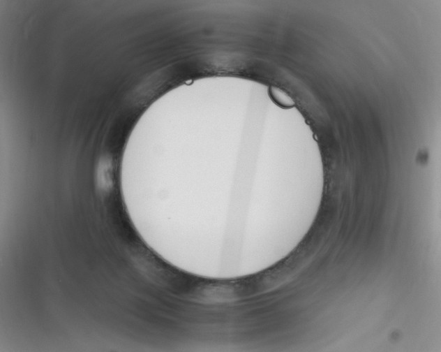 X0000116820075201001081425