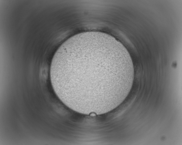 X0000116820076201001081425