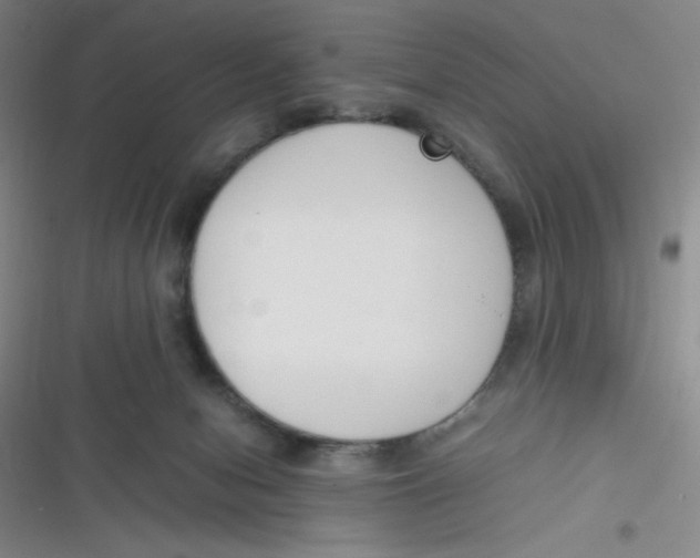 X0000116820078201001081425