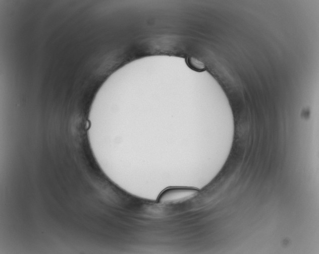 X0000116820079201001081425