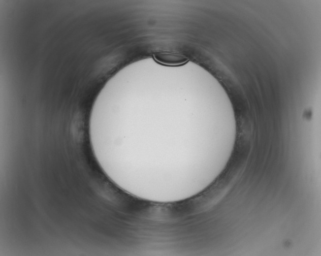 X0000116820080201001081425