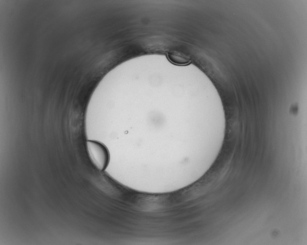 X0000116820081201001081426