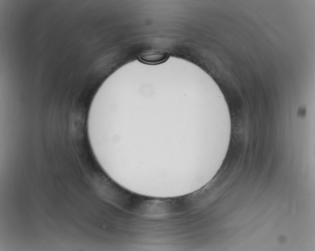 X0000116820082201001081426