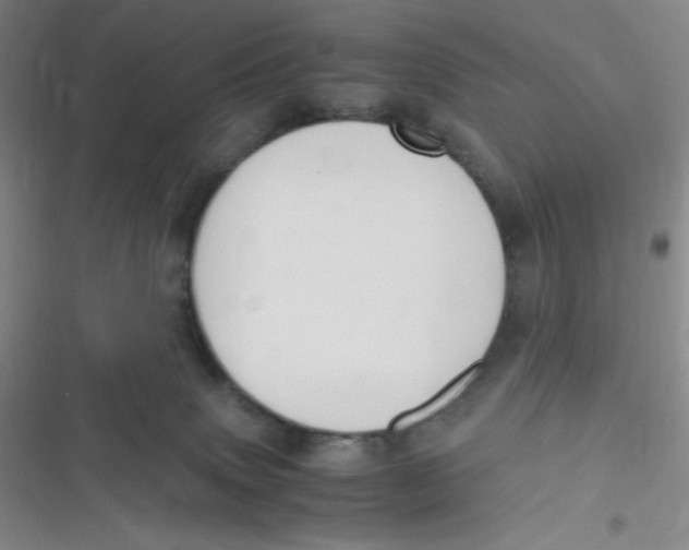 X0000116820083201001081426