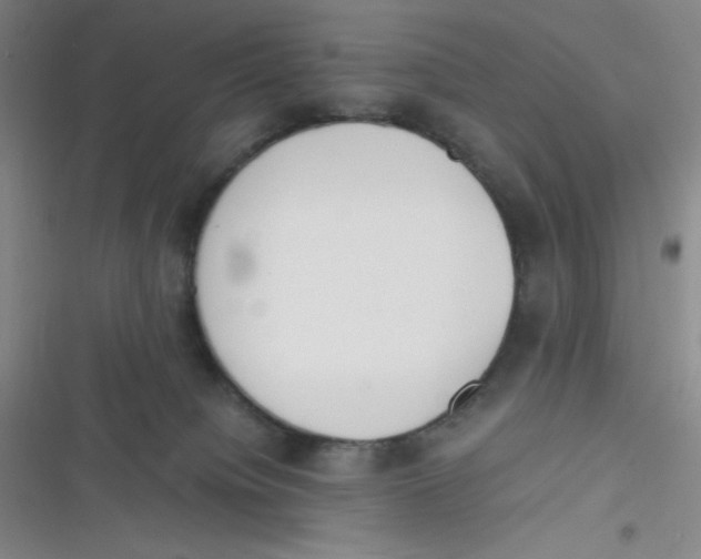 X0000116820084201001081426