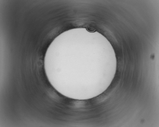 X0000116820085201001081426