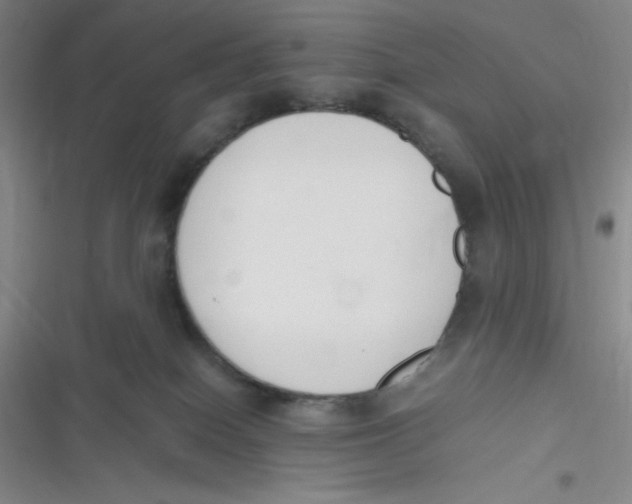 X0000116820086201001081426