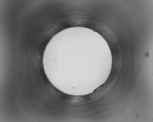 X0000116820087201001081426