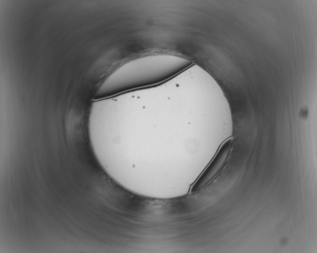 X0000116820088201001081426