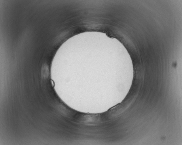 X0000116820089201001081426