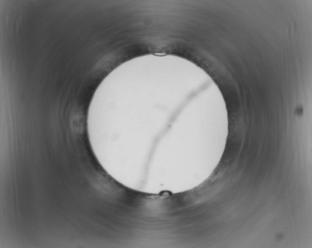 X0000116820090201001081426