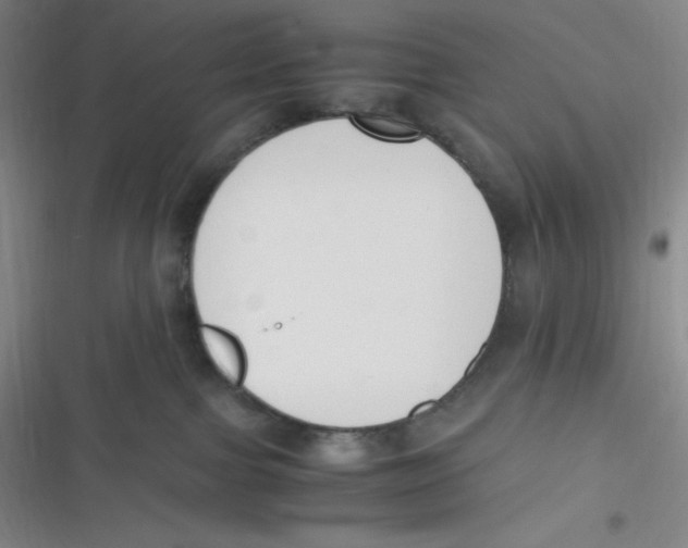 X0000116820091201001081426