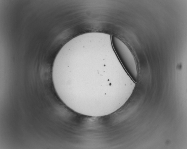 X0000116820092201001081426